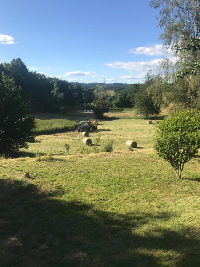 Sarroux Une Pause En Correze מראה חיצוני תמונה